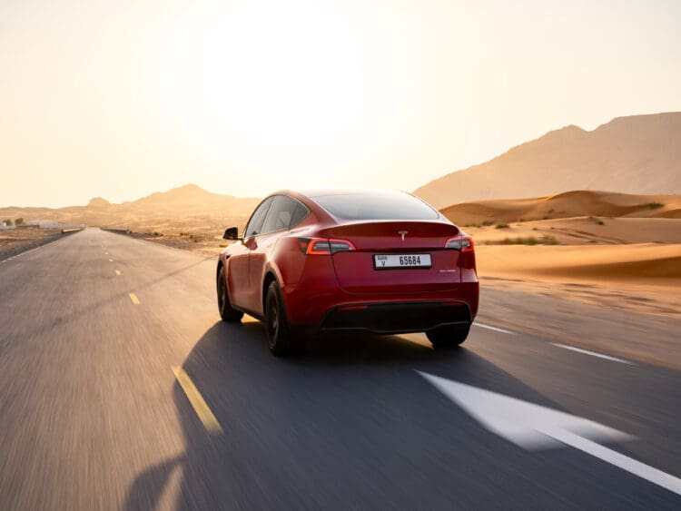 tesla model y rear view