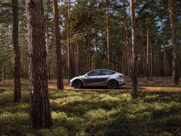 ModelY 68