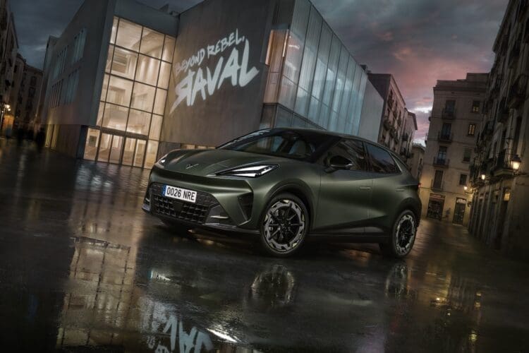 Cupra Raval Manganese Matt