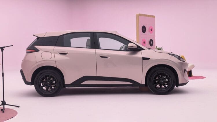 New BYD Dolphin Surf profile